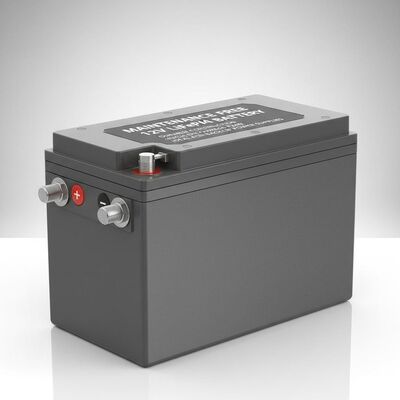 Maintenance Free 12V LiFePO4 Battery Pack Durable Construction High Discharge Rate Ideal for Backup Power Supplies