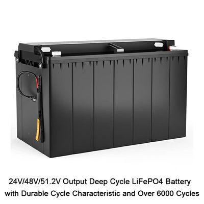 24V/48V/51.2V Output Deep Cycle LiFePO4 Battery with Durable Cycle Characteristic and Over 6000 Cycles