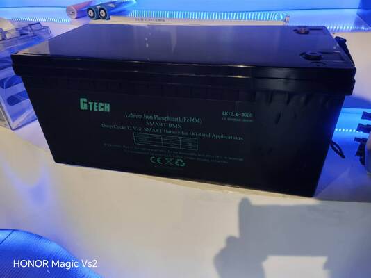 12Batería LiFePO4 de 8 V