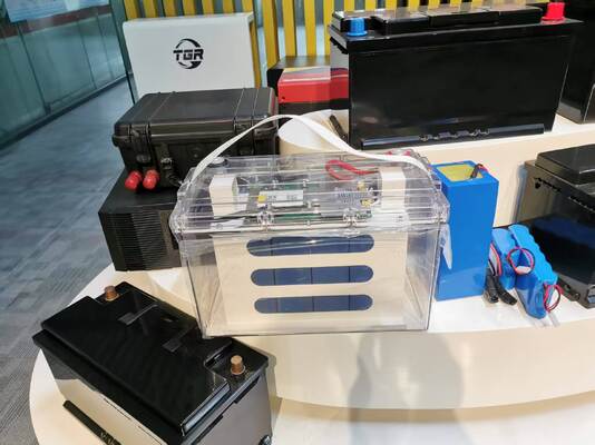 12Batería LiFePO4 de.8V 100Ah con vida útil de 6000 ciclos y carcasa transparente para almacenamiento de energía solar